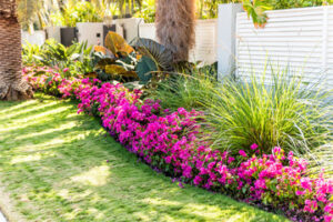 Landscape Lighting